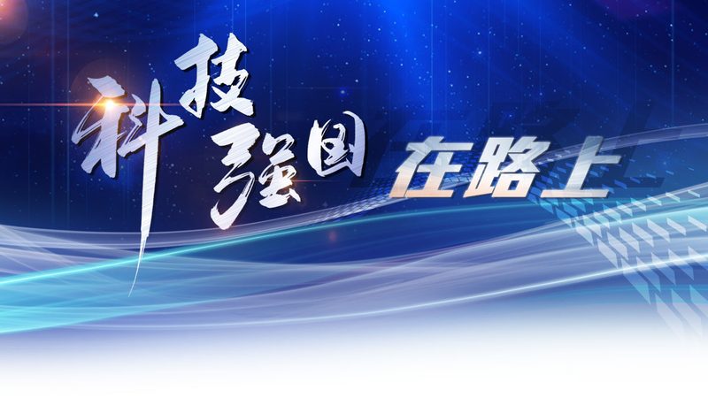 疫情数据可视化：参数配置的关键考量**