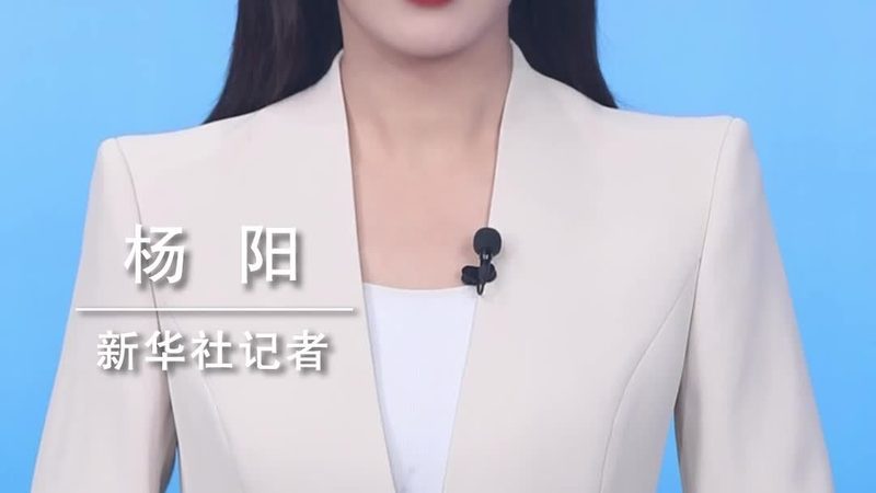 开源SaaS平台：功能对比解析与选型策略